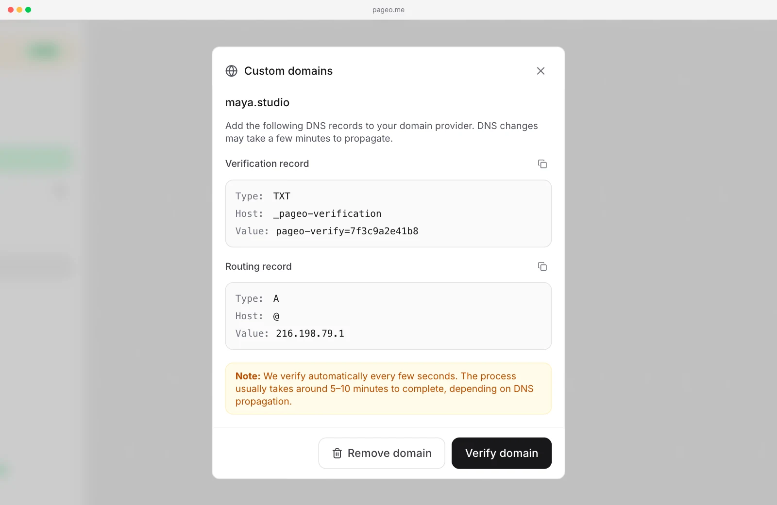The custom domains dialog showing a TXT record for verification and an A record for routing